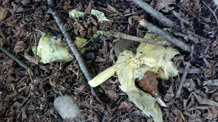 Oğuzda 3 ədəd əl qumbarası tapıldı