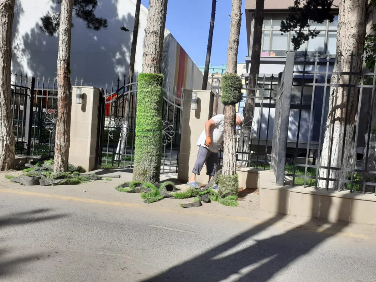 Sumqayıtda ağacların gövdəsi süni örtükdən təmizlənib
