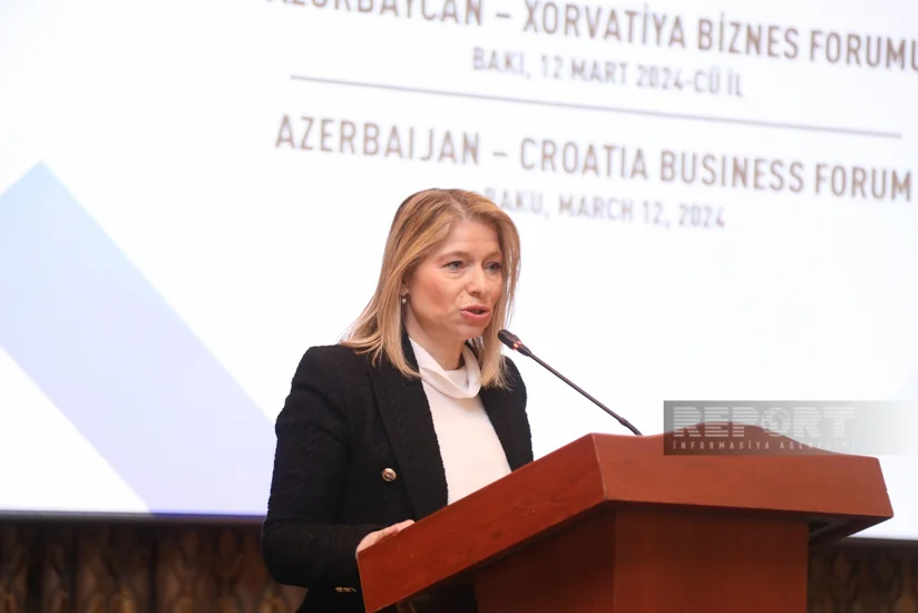 Silva Stipić Kobal: 14 leading Croatian companies registered in Azerbaijan