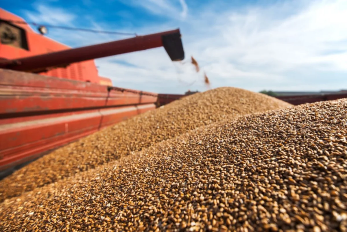 CBA: Interest rates on loans to grain producers may be subsidized