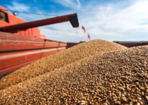 CBA: Interest rates on loans to grain producers may be subsidized