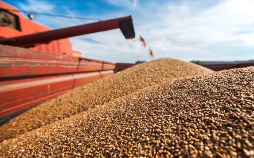 CBA: Interest rates on loans to grain producers may be subsidized