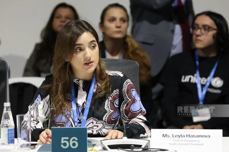 В рамках COP29 состоялся круглый стол высокого уровня по вопросам детей, молодежи и климатических действий