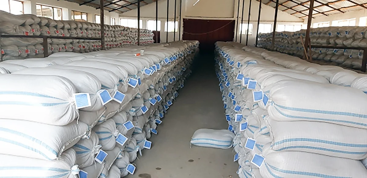 Azərbaycanda toxum və ting istehsalçılarına subsidiyanın verilməsi yekunlaşıb