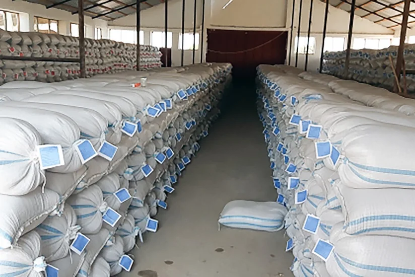 Azərbaycanda toxum və ting istehsalçılarına subsidiyanın verilməsi yekunlaşıb
