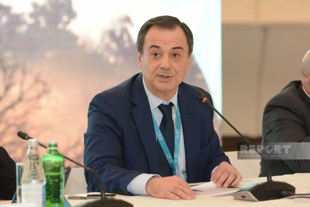 COP29 Sülh və İqlim təşəbbüsü Liderlər Qrupuna daxil olan ölkələrin adları məlum olub