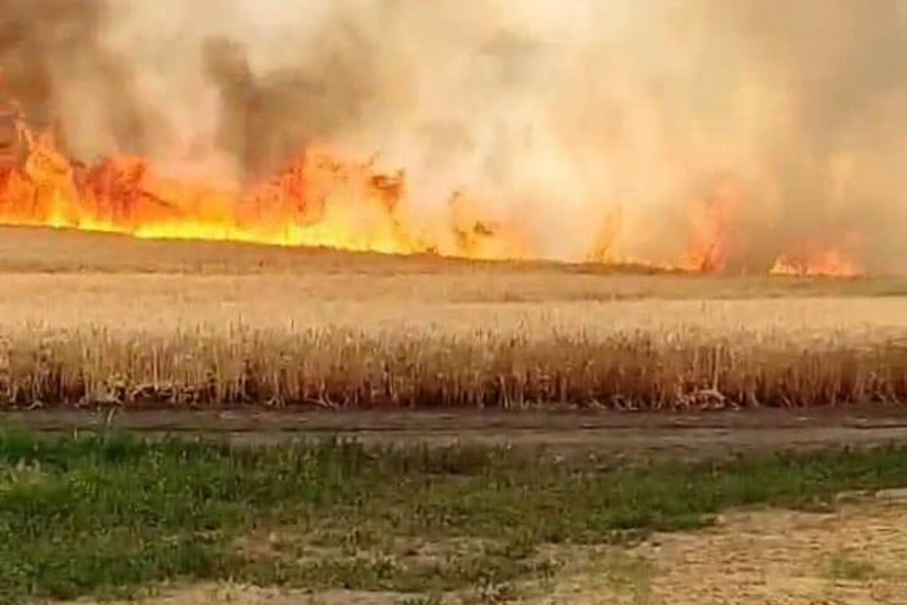 В результате артобстрела ВС РФ сожжено еще 100 га зерновых полей в Украине