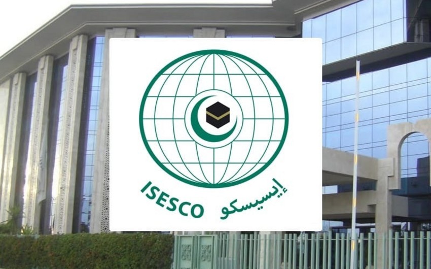 Applications open for ICESCO’s Young Professionals Programme