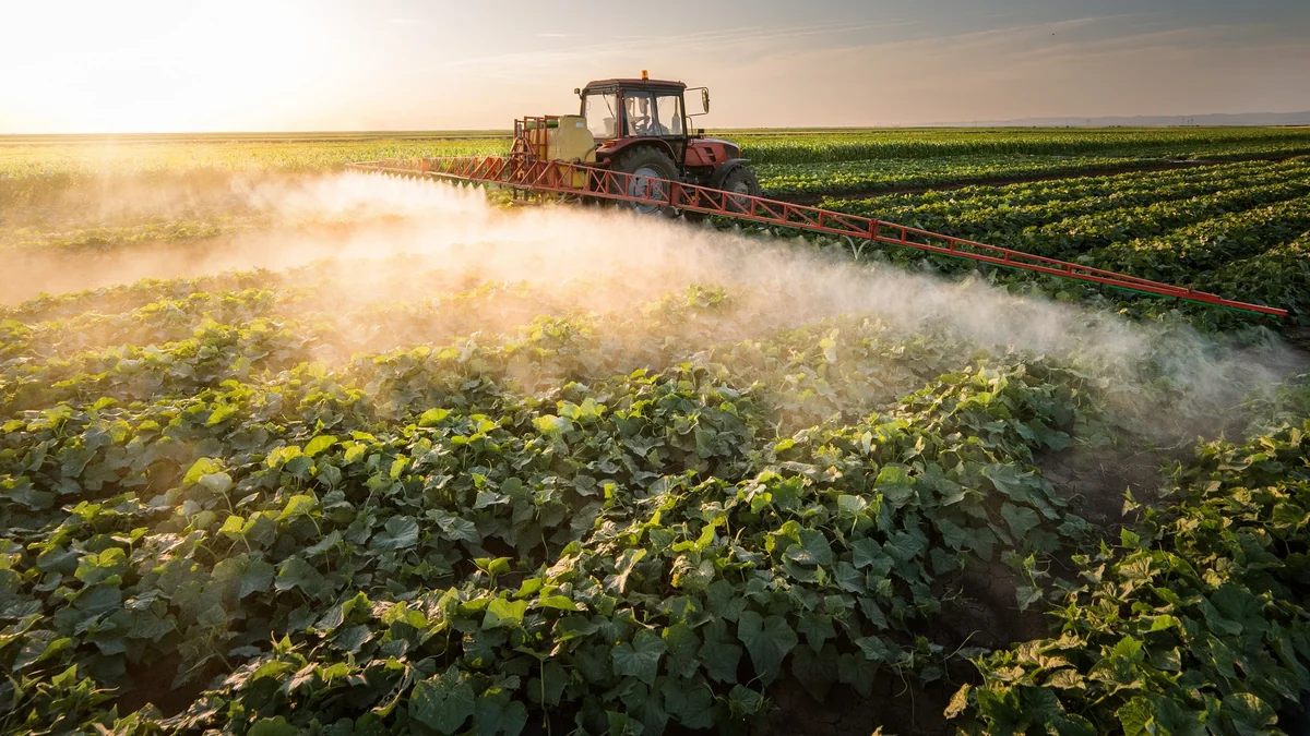 Azerbaijan starts exporting pesticides to Kyrgyzstan
