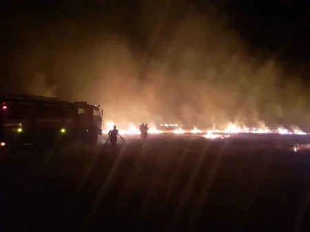 Kürdəmirdə biçilmiş taxıl sahəsində baş verən yanğın söndürülüb - YENİLƏNİB - FOTO