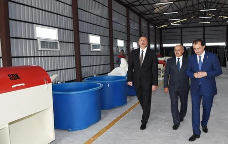 Prezident İlham Əliyev Lənkəranda çəltik zavodunun açılışını edib