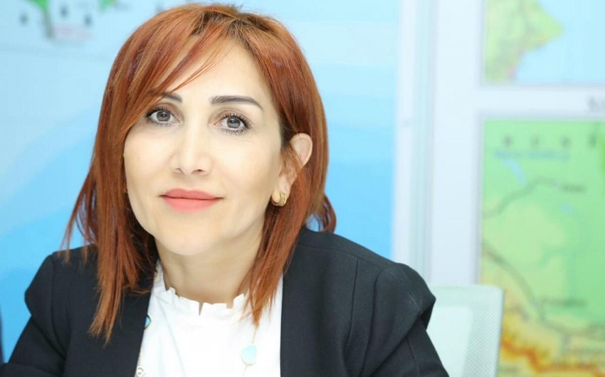 İradə İbrahimova: Aksiyalarda təmizlənən ərazi növbəti dəfə daha çox çirklənir