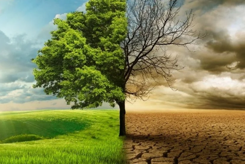 Politoloq: Qərb dövlətləri ikiüzlü siyasət yürütməklə iqlim problemlərini dərinləşdirir