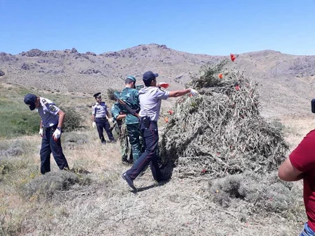 State Customs Service prevents smuggle of narcotic substances from Iran to Azerbaijan - PHOTO
