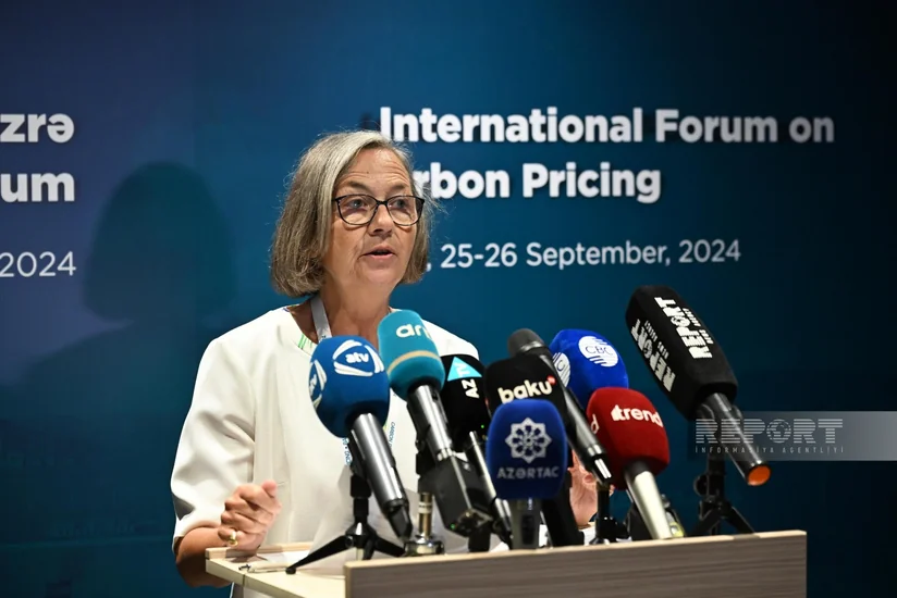 IOTA executive secretary: Carbon pricing will be in spotlight at COP29