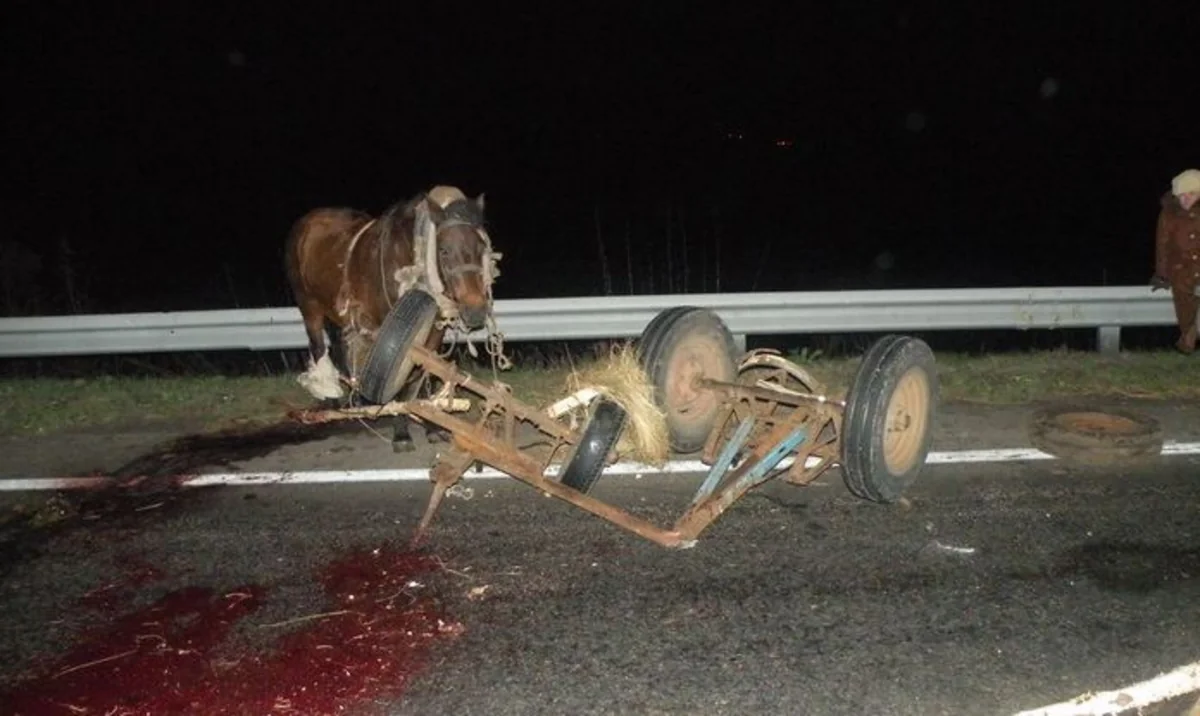 Sabirabadda avtomobil at arabasını vurub, 3 nəfər yaralanıb - YENİLƏNİB