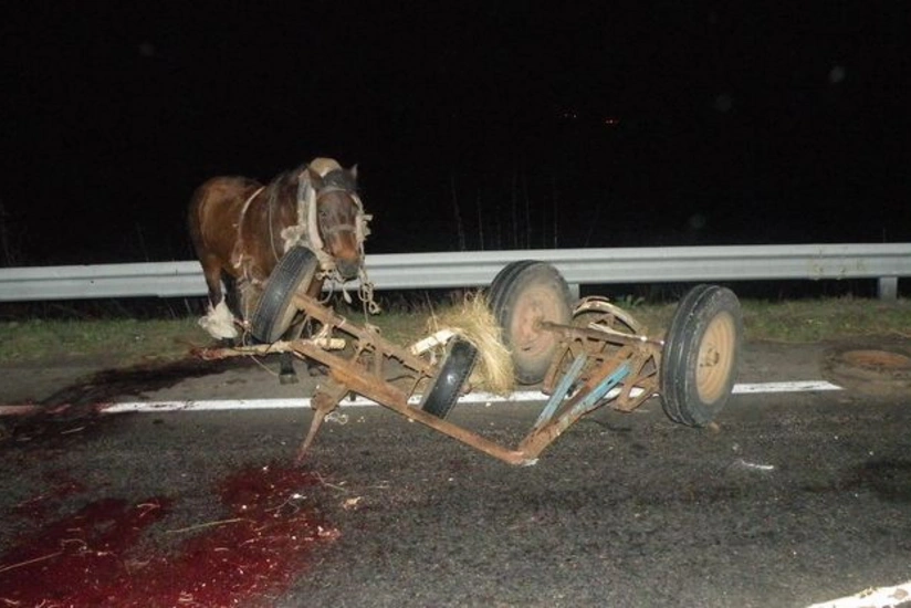 Sabirabadda avtomobil at arabasını vurub, 3 nəfər yaralanıb - YENİLƏNİB