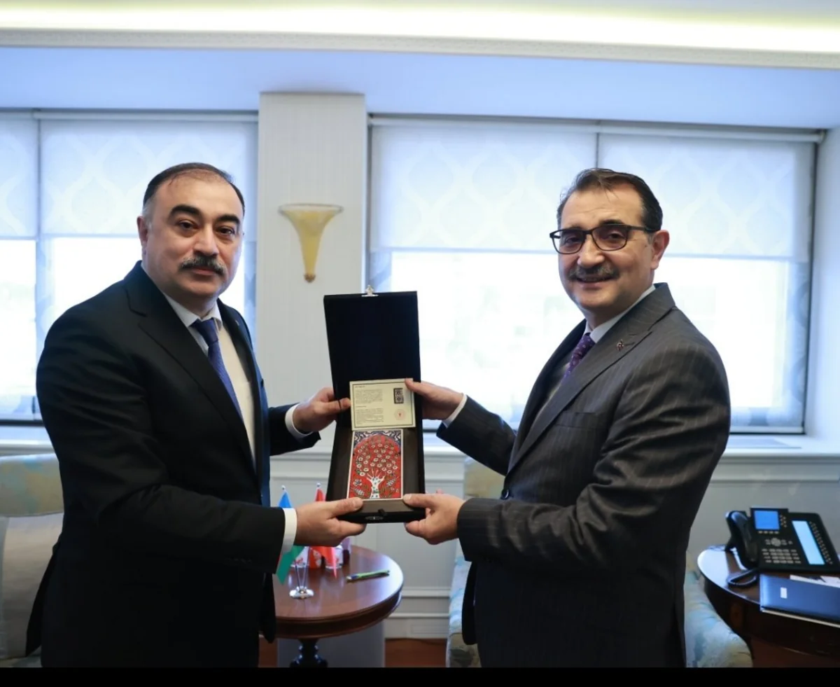 Azərbaycan səfiri Türkiyənin energetika naziri ilə görüşüb