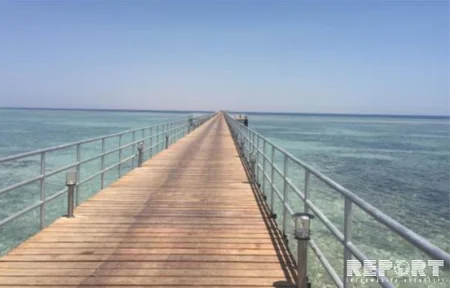 Qırmızı dəniz sahilindəki ecazkar və nadir gülləri ilə məşhur şəhərdən - REPORTAJ