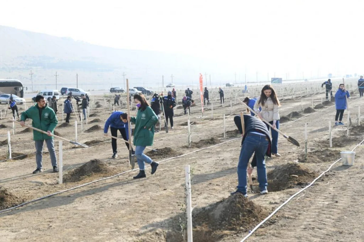 Xocəsən gölü ətrafında minədək ağac əkilib