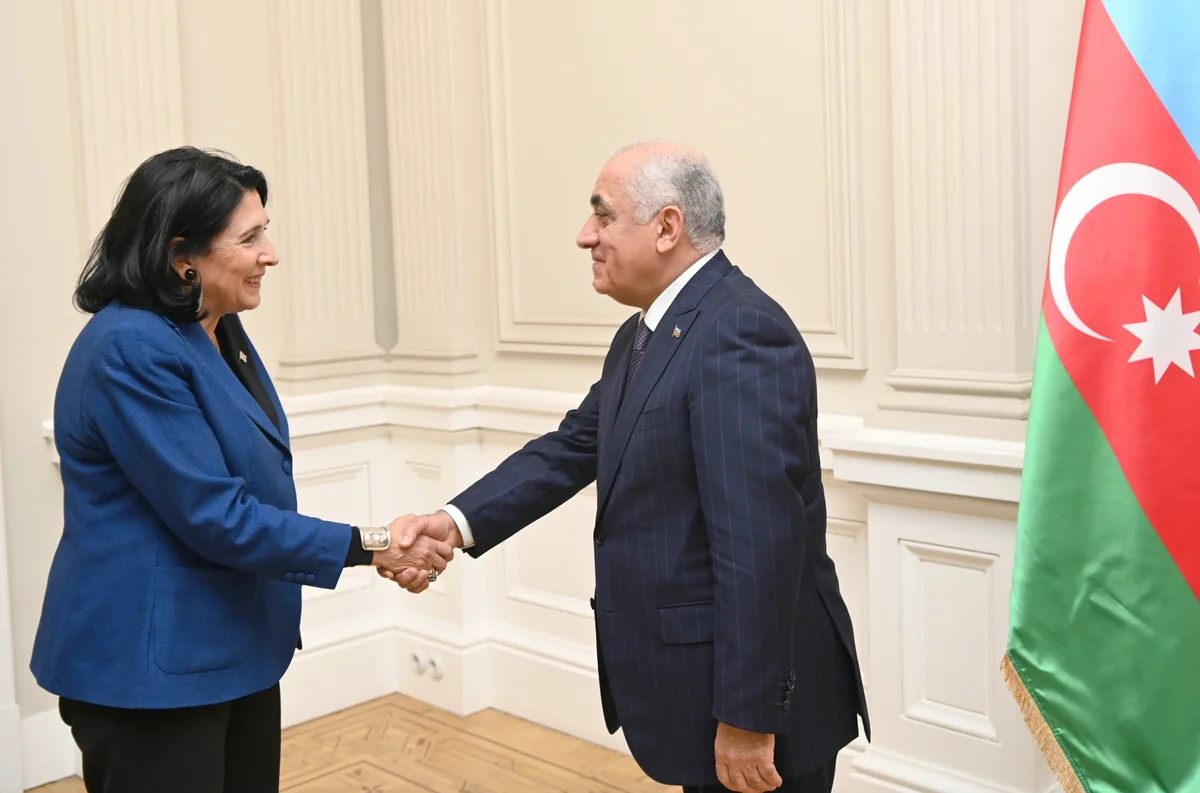 Azərbaycanın Baş naziri Tbilisidə Gürcüstan Prezidenti ilə görüşüb