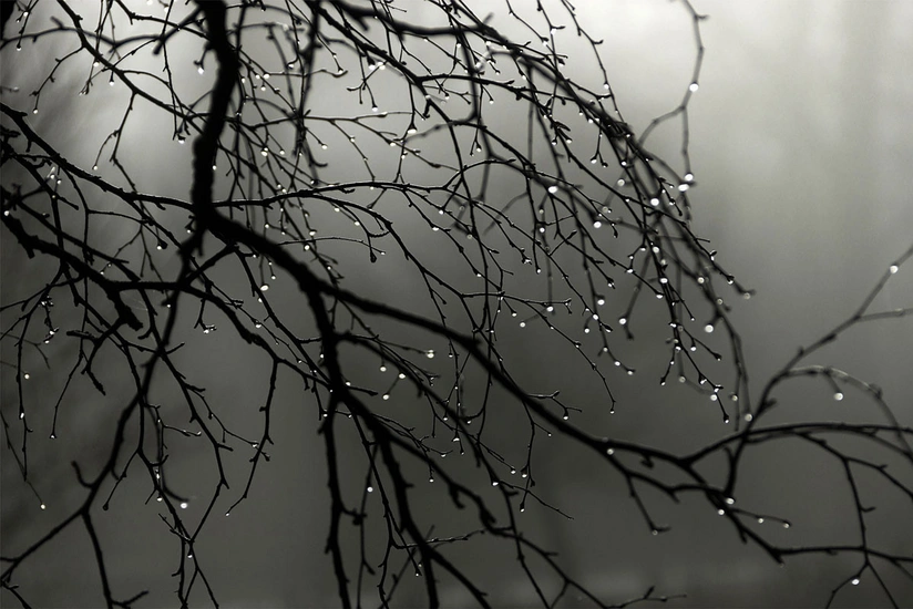 Rainy weather will continue in Azerbaijan