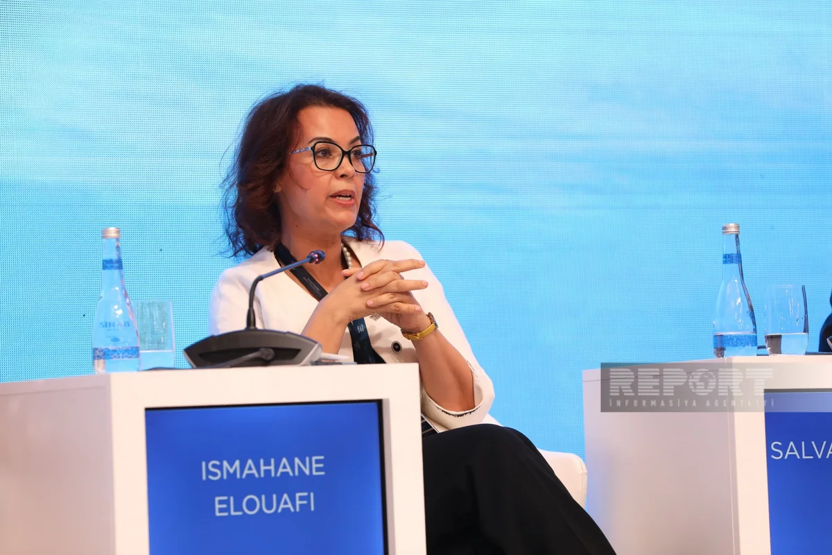 İsmahane Eluafe: Müasir çağırışlar bərabərsizlik üçün şərait yaradır