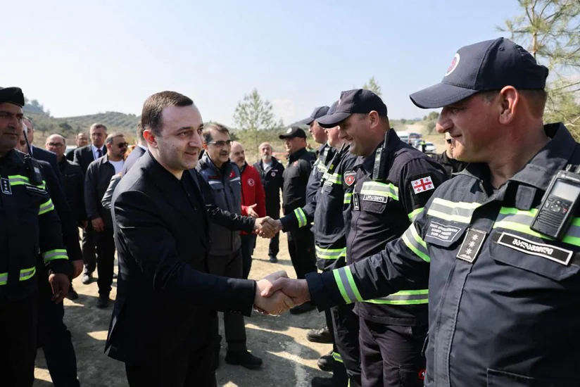 Грузинские спасатели завершили миссию в Турции и вернулись в страну