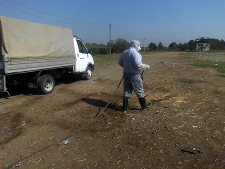 Sabirabad və Xaçmazın diri heyvan satışı bazarlarında dezinfeksiya tədbirləri aparılıb