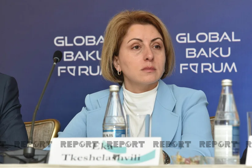 Tkeşelaşvili: “Qonşu ölkəyə təcavüz cəzasız qalmamalıdır”