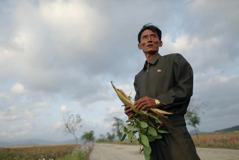 UN: Nearly half of North Koreans starving