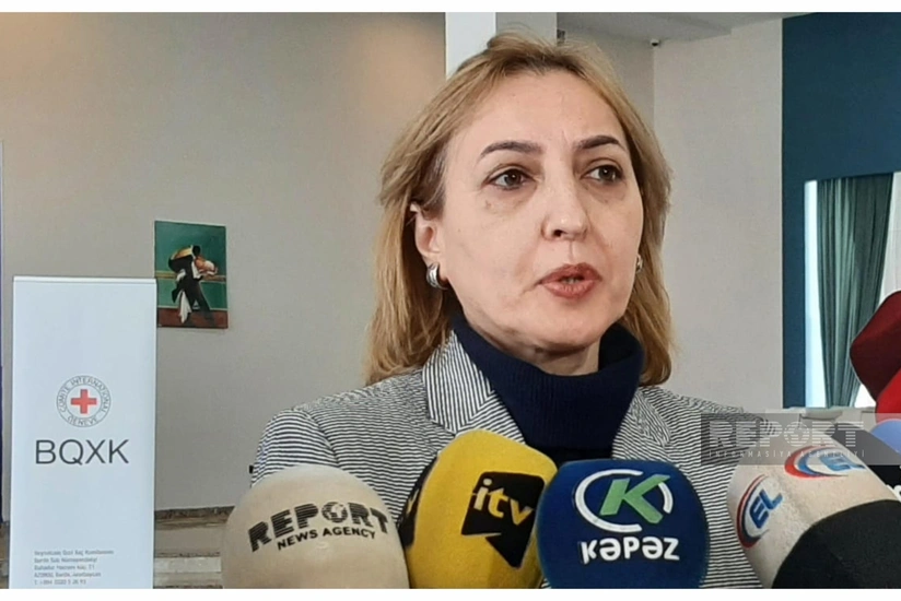 Ilaha Huseynova: ICRC dealing with condition of two Azerbaijanis detained in Armenia