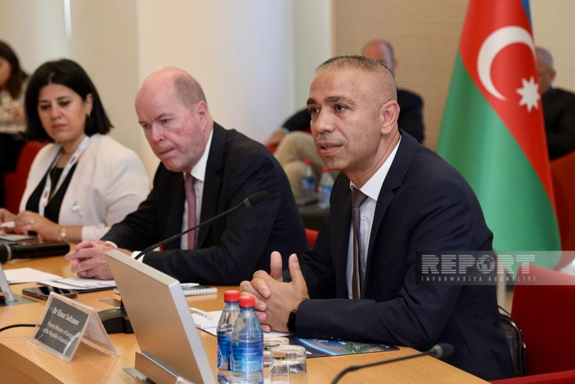 Эльнур Солтанов: В октябре BP получит первую электроэнергию от станции на возобновляемых ресурсах в Азербайджане