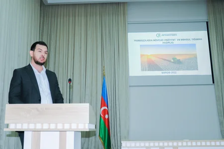 Azərbaycanda bu il 7 növ pambıq əkilib