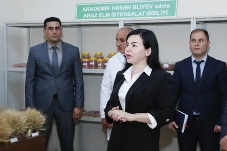 Məcnun Məmmədov Naxçıvanda vətəndaşları qəbul edib