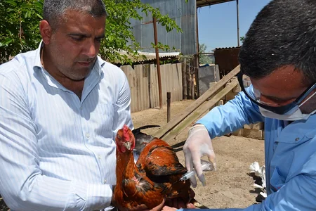 Saatlıda profilaktiki peyvəndlənmə, diaqnostiki müayinə, dezinfeksiya, dezinseksiya və müalicə tədbirləri davam etdirilir