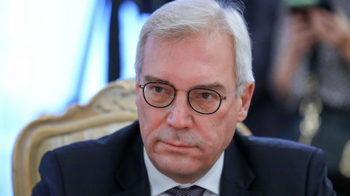 Замглавы МИД РФ назвал большими фантазиями заявления в ЕС о членстве Армении в НАТО