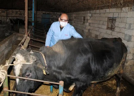 Biləsuvarda profilaktik tədbirlər davam etdirilir