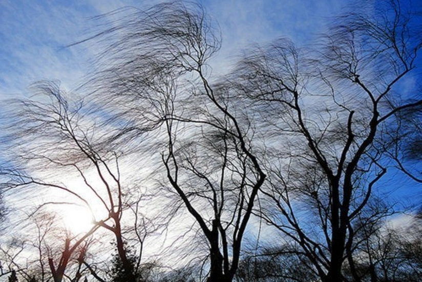 Weather forecast for tomorrow announced