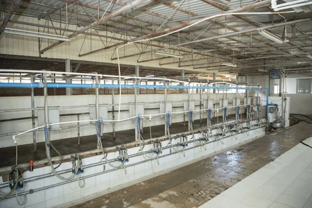 Məcnun Məmmədov Şamaxıdakı müəssisələrin fəaliyyəti ilə tanış olub