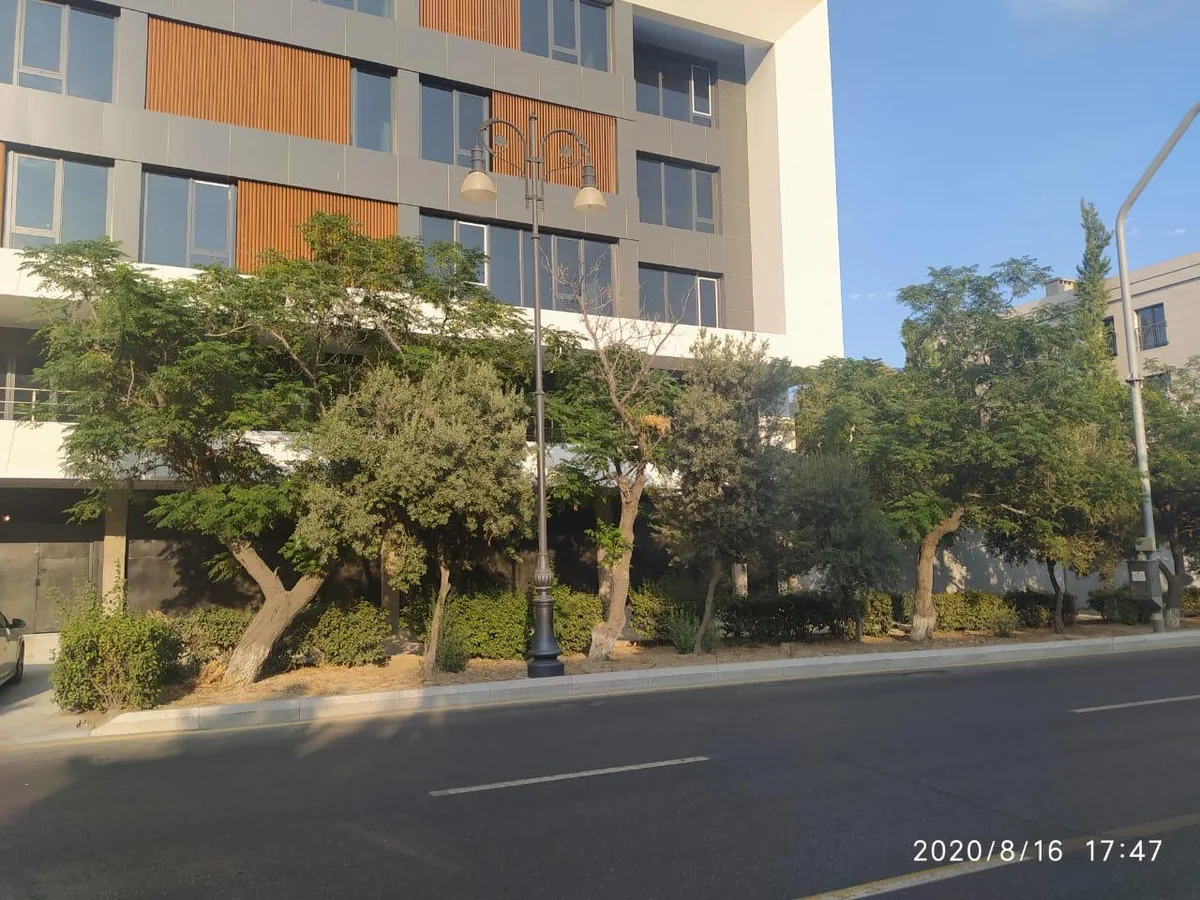 Bakıda yaşıllıqlara ziyan vuran obyekt sahibi cəzalandırılıb