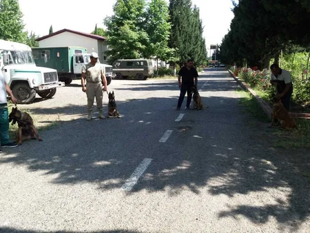 ABŞ ANAMA-ya minaaxtaran itlər hədiyyə edib