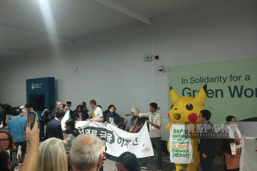 В рамках COP29 проходит акция климатических активистов из Азии