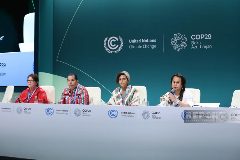 Ceykob Cons: İqlim dəyişikliyinin təsirlərini minimuma endirmək üçün COP29 çərçivəsində birlikdə işləməliyik