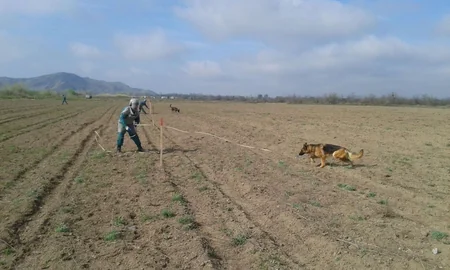 Cocuq Mərcanlıda tank əleyhinə mina və idarə olunmayan raket aşkarlanıb