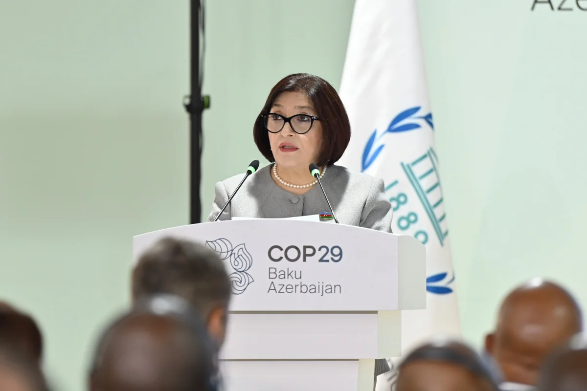 Sahiba Gafarova: Parliaments need to improve legislation to combat climate change