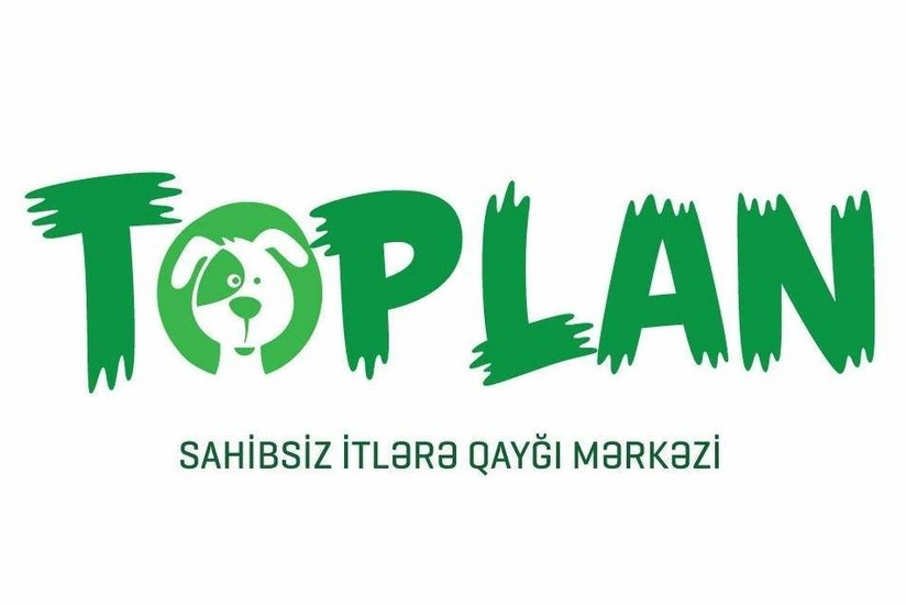 Toplan builds new shelters for stray dogs in Absheron