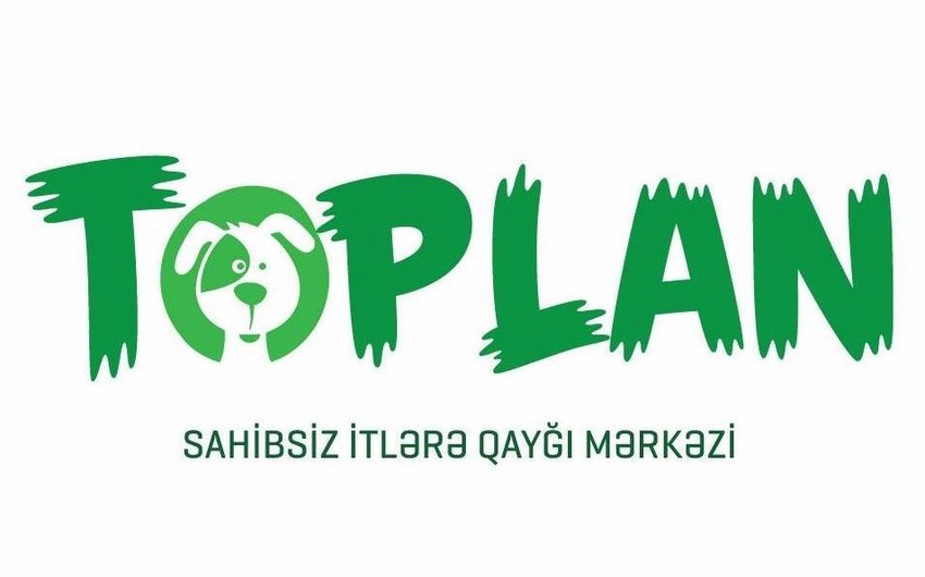 Toplan builds new shelters for stray dogs in Absheron