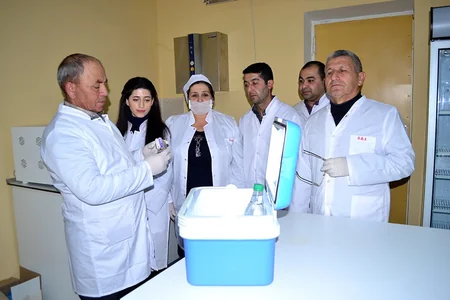 Zərdabda heyvanlar arasında iti yoluxucu xəstəliklərə qarşı profilaktik tədbirlər aparılır