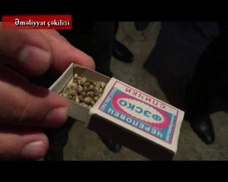 Bakıda narkotik tərkibli bitkilərin kultivasiyası ilə məşğul olan şəxs saxlanılıb